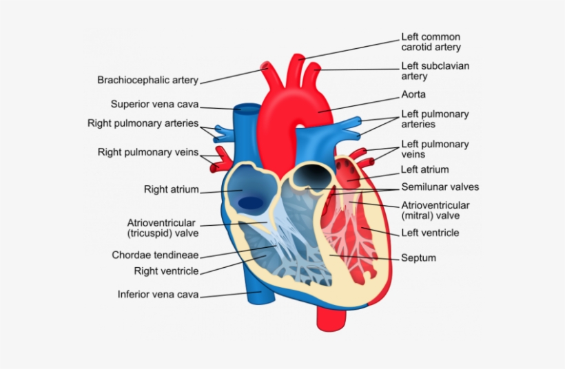 But With The Help Of Linkit One, Olimex Shield, And - Cool Love Love Large Mug, transparent png download