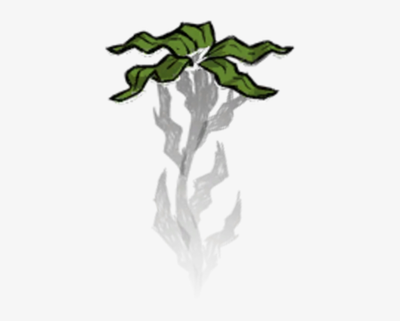 Seaweed Planted - Don T Starve Seaweed, transparent png download
