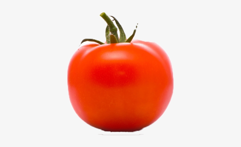 Tomato Png Free Image - Jitomate Bola, transparent png download