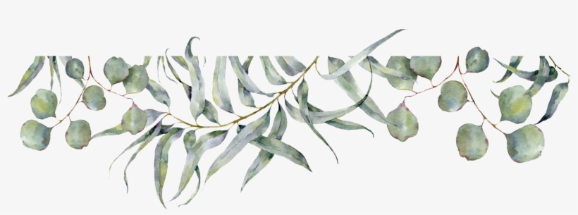 Er Du Ikke På Interesselisten Meld Deg På Under - Russian Olive, transparent png download