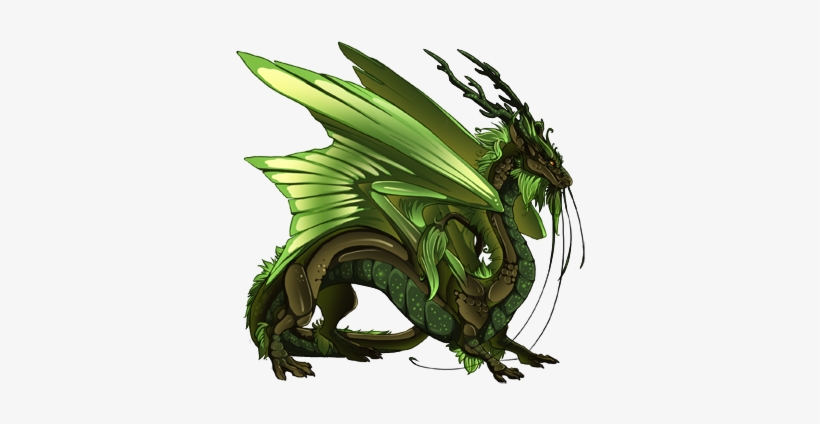 Can You Believe This Guy Was Fodder Price I Made His - Draw A Dragon, transparent png download