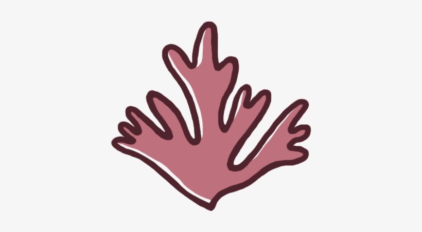 Dulse, transparent png download