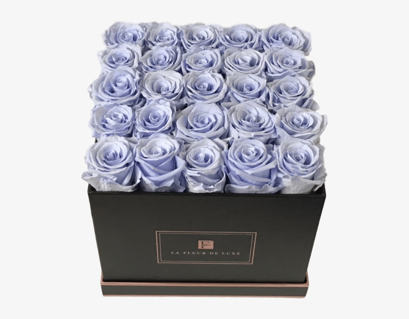 Prev - Garden Roses, transparent png download