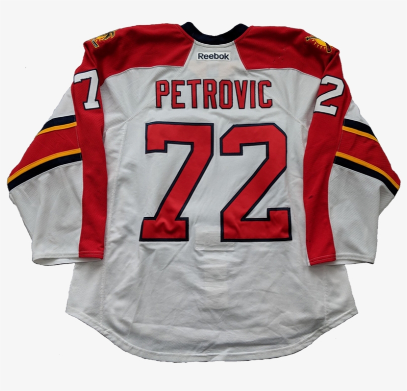 Florida Panthers 2013/14, transparent png download
