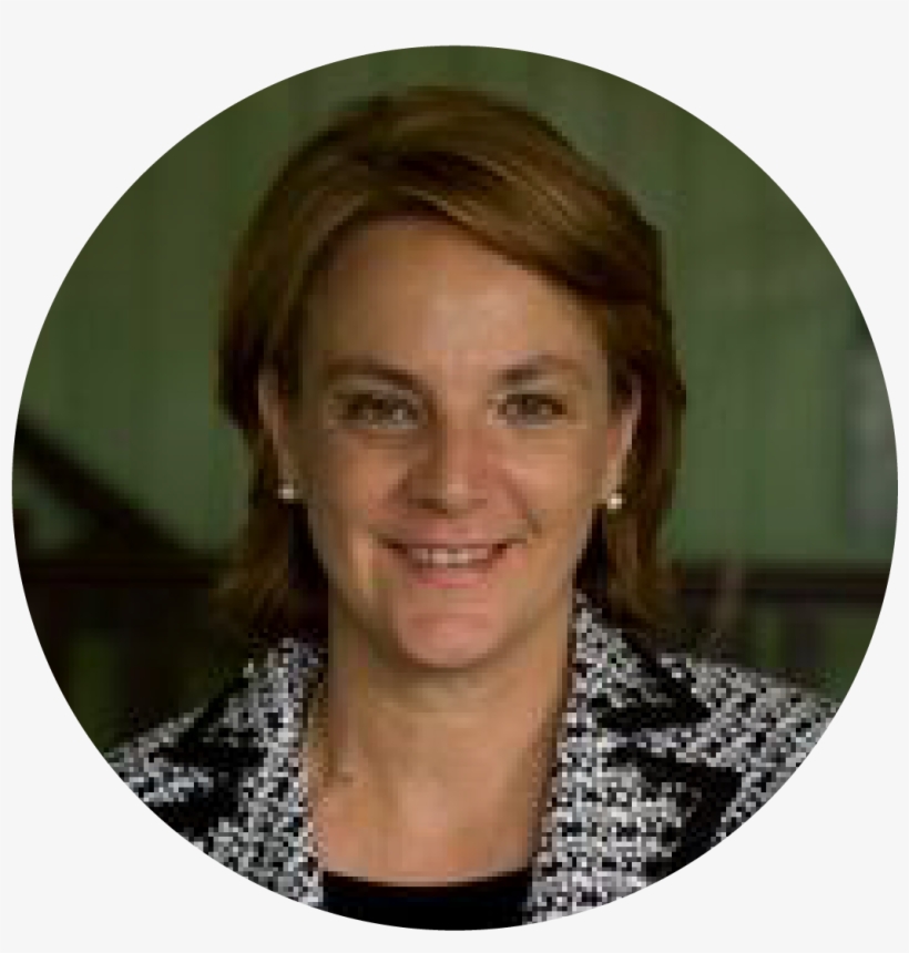 Her Small Team Of Italian-speaking Experts Either Live - Lace Wig, transparent png download