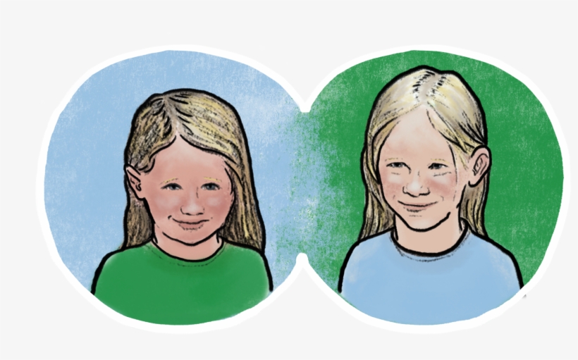 Oregon Has The Lowest Graduation Rate In The Country - Illustration, transparent png download