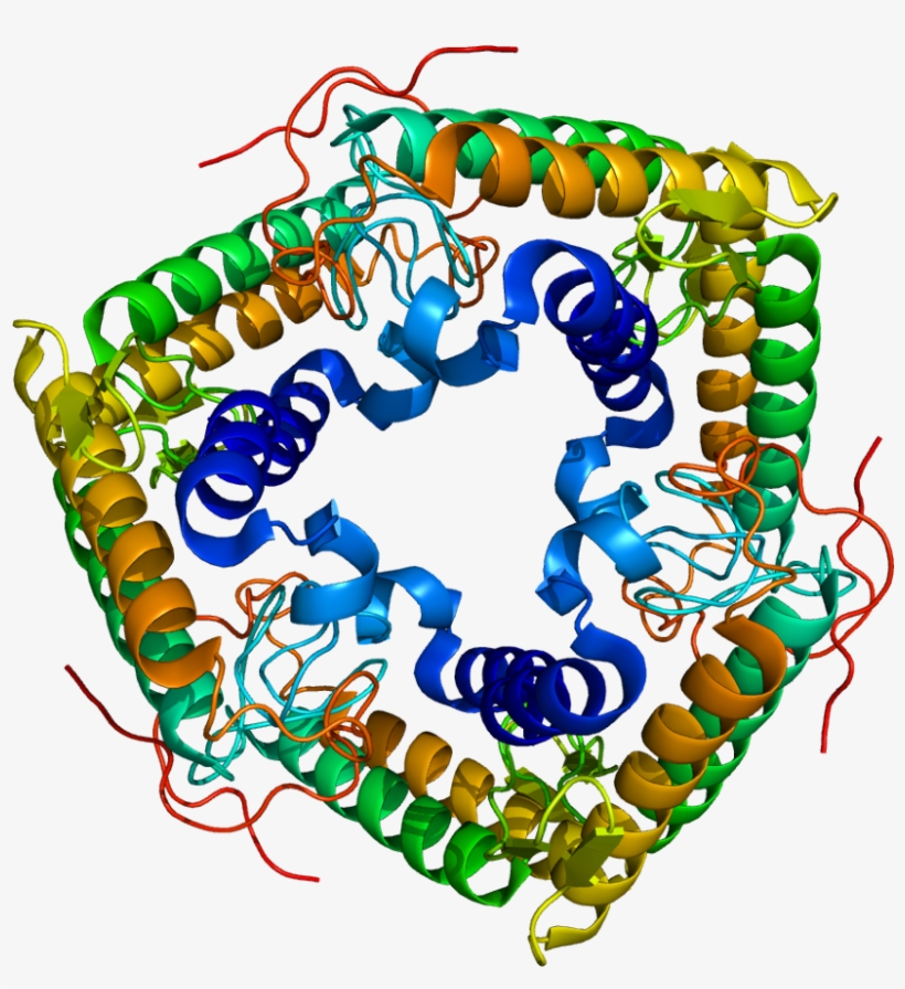 Clip Art, transparent png download