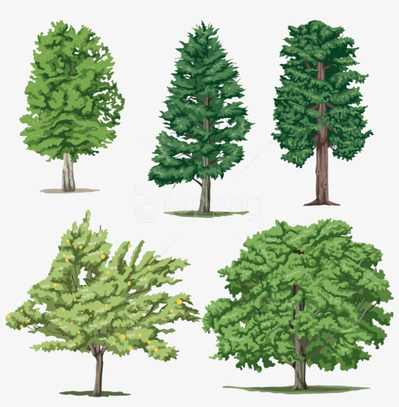 Free Png Download Tree Clipart Png Photo Png Images - Tom And Jerry Kids, transparent png download