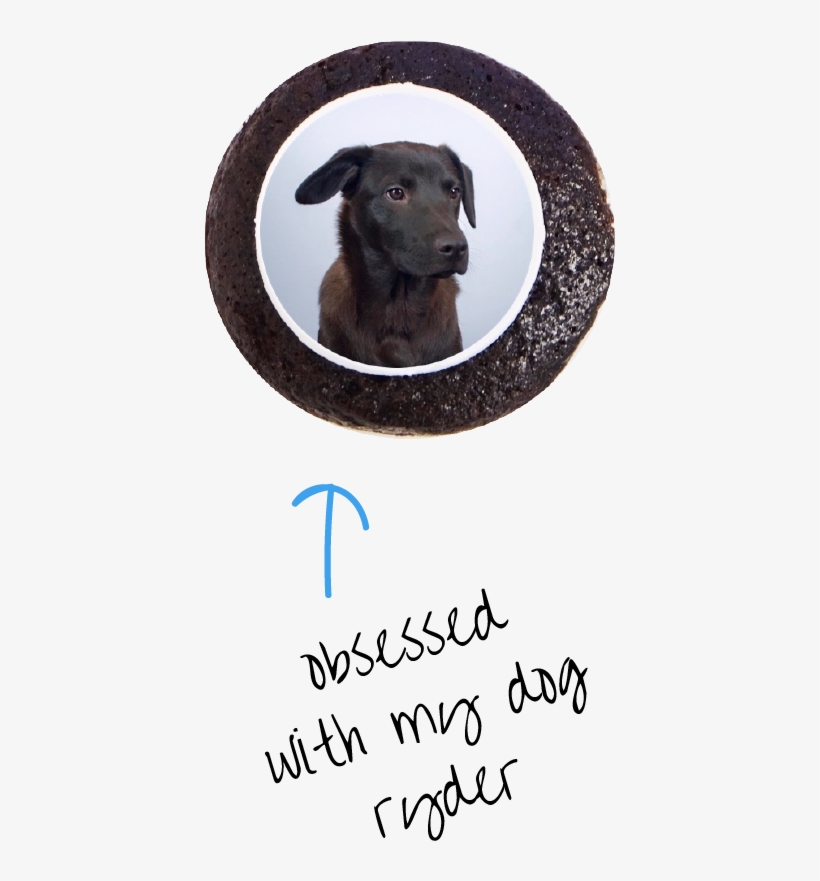 Today, Spots Is The Go-to Company For All Edible Branding - Flat-coated Retriever, transparent png download