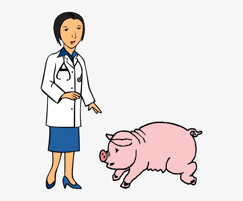 Clipart Of Veterinary, Pig At And Docotor, transparent png download