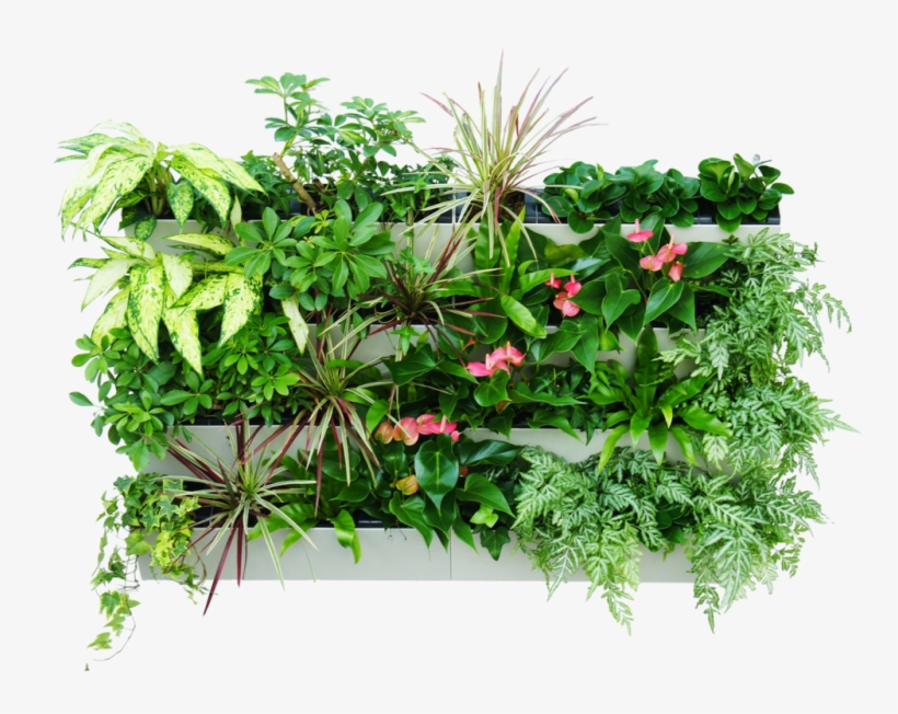 Vertical Herb Garden Png, transparent png download