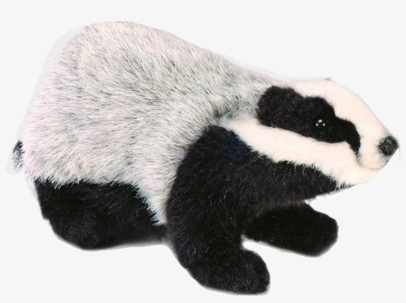 Badger, transparent png download