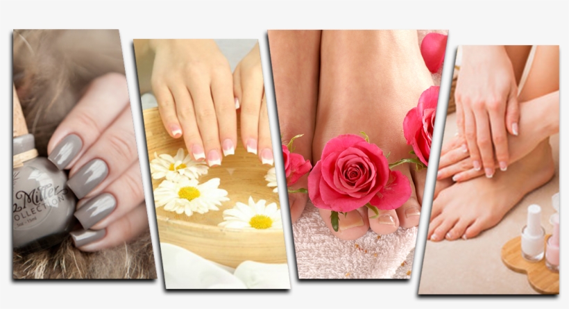 Garden Roses, transparent png download