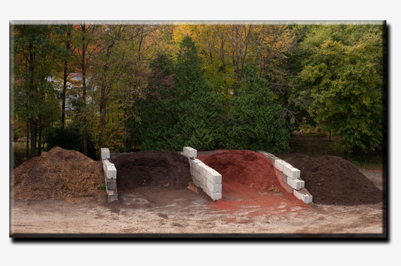 Cruse Site Image - Backyard, transparent png download