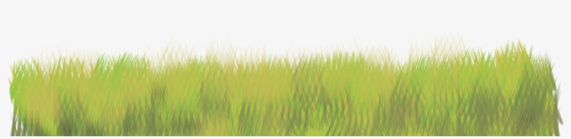 Report Abuse - Sweet Grass, transparent png download