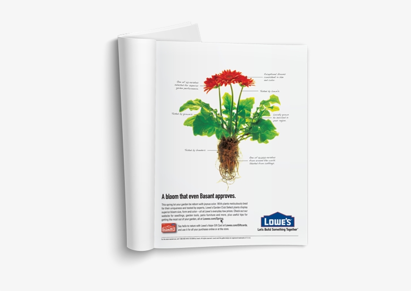 Lowe's - Bouquet, transparent png download