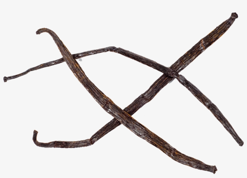 Og Vanilla Beans - Insect, transparent png download