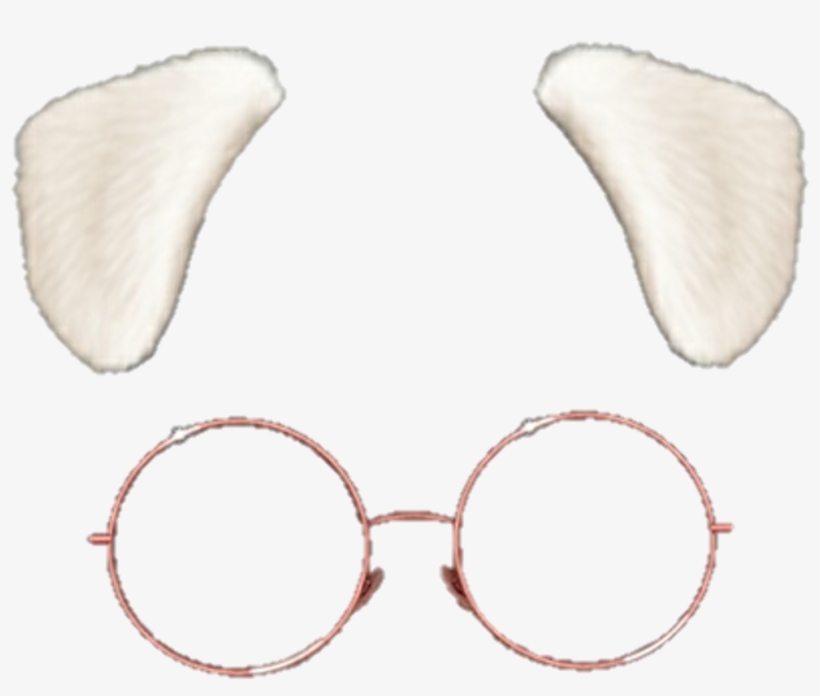 #snow #snowfilter #filter #glasses #puppy #freetoedit - Snow Cute Filters Png, transparent png download