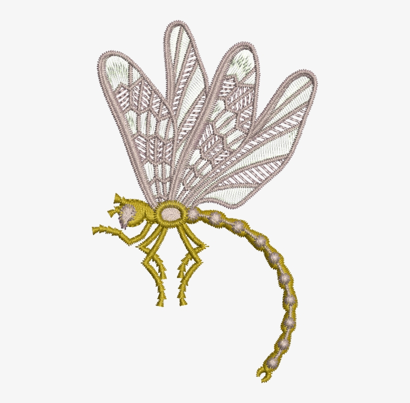 07 - Dragonfly Side - Illustration, transparent png download