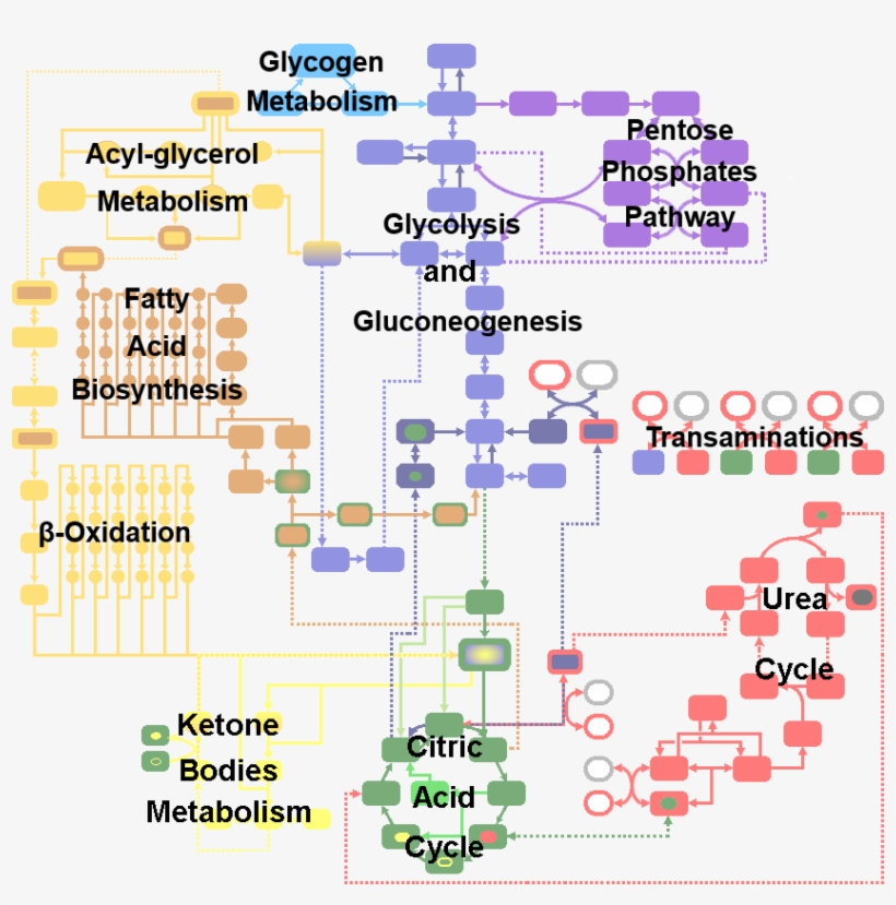 In The Present Site We Offer An Interactive Learning - Illustration, transparent png download