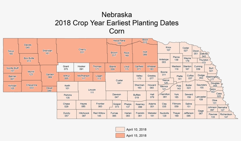 Ne Corn Earliest - Number, transparent png download