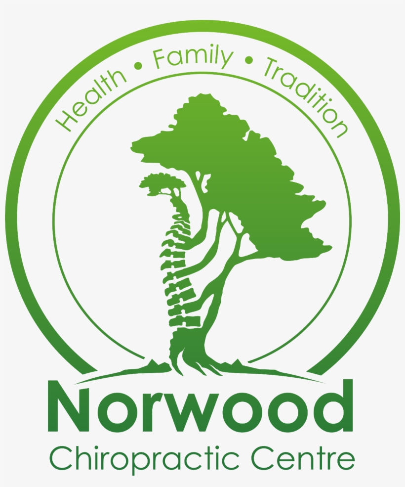 Norwood Chiropractic - Healthy Eating, transparent png download