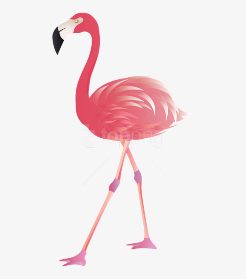 Free Png Download Flamingo Png Images Background Png - Clip Art Flamingo Png, transparent png download