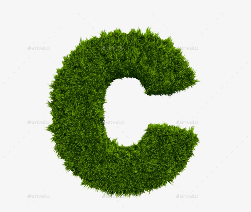 C - Letter O Grass Png, transparent png download
