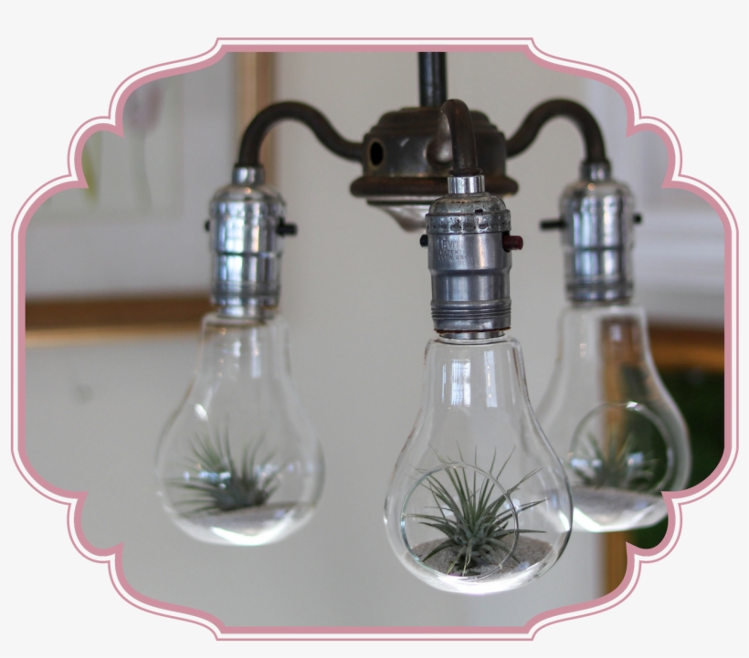 Down Hanging 3-arm Lamp, transparent png download