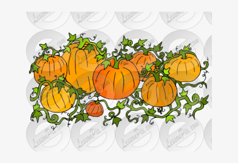 Pumpkin, transparent png download