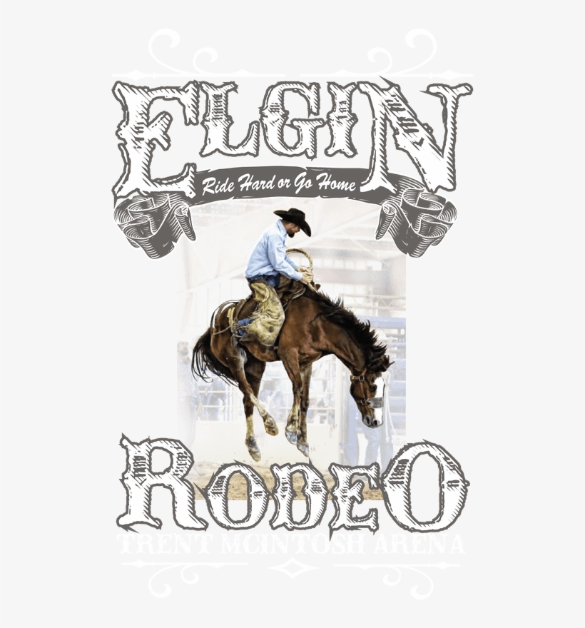 Visit Elgin Rodeo On - Stallion, transparent png download