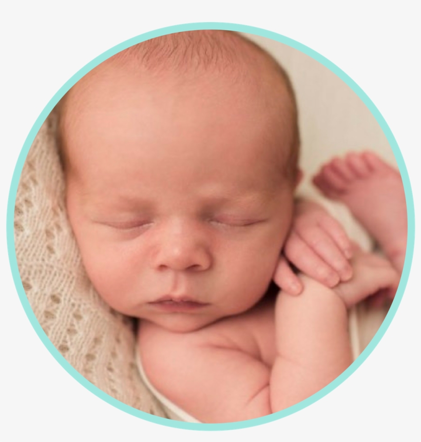 Newborn £75 - Baby, transparent png download