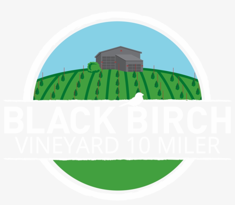 Birch Png, transparent png download