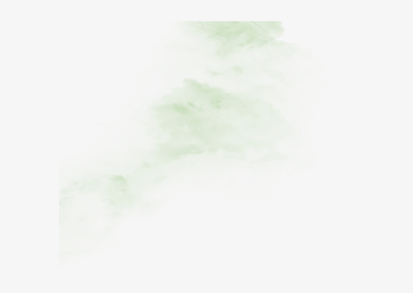 Gray Line Png - Plant, transparent png download