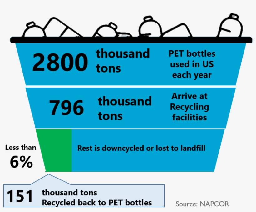 Pet Recycling - Thomas Tallis School, transparent png download