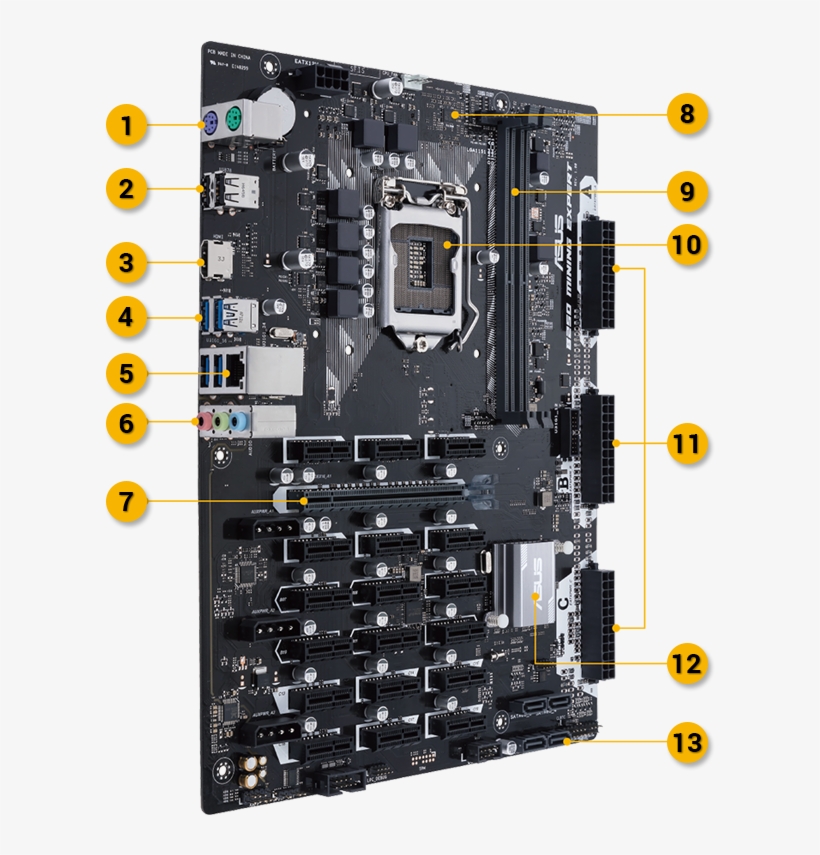 1 Ps/2 - Asus B250 Expert Mining 19 Vga, transparent png download