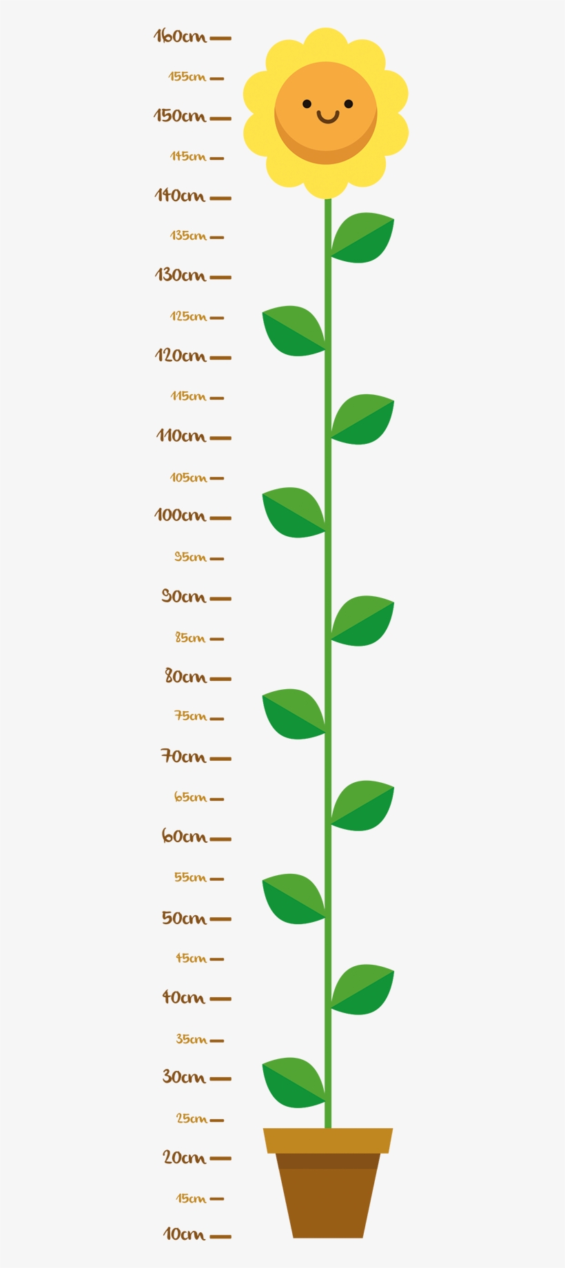 Vinilo Infantil Medidor Girasol - Plant Height Clip Art, transparent png download