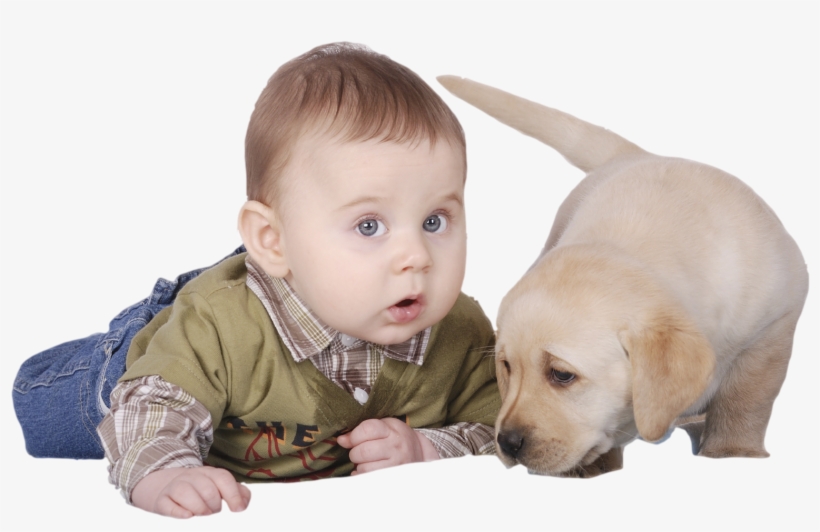 Safety At Home Pets, transparent png download