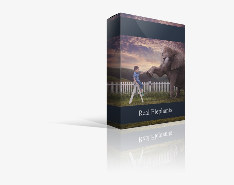 Real Elephant Overlays For Photographers - Carton, transparent png download