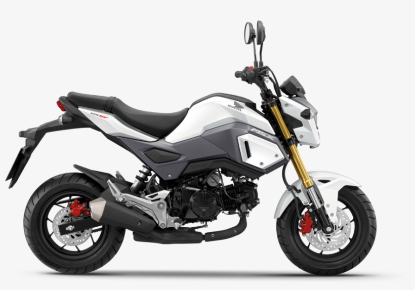 Honda Msx125 Freestanding On White Background - 2018 Honda Grom Price, transparent png download