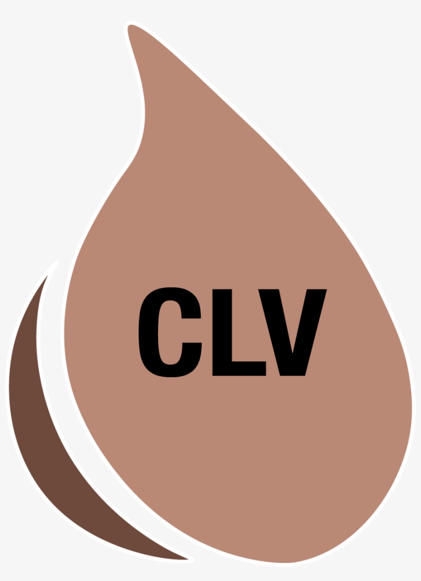 Clv Clove - Illustration, transparent png download