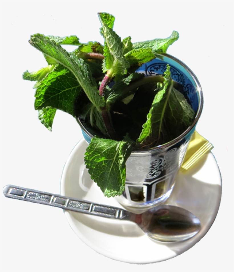 Taking Tea Logo - Moroccan Tea Set Png, transparent png download