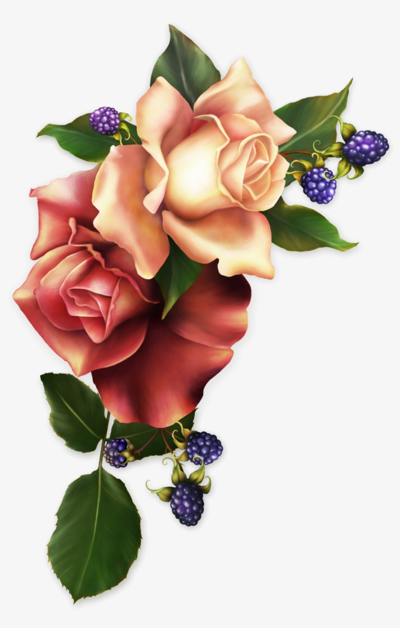 Avatar Images, Outline Designs, Photo Corners, Special - Picture Frame, transparent png download