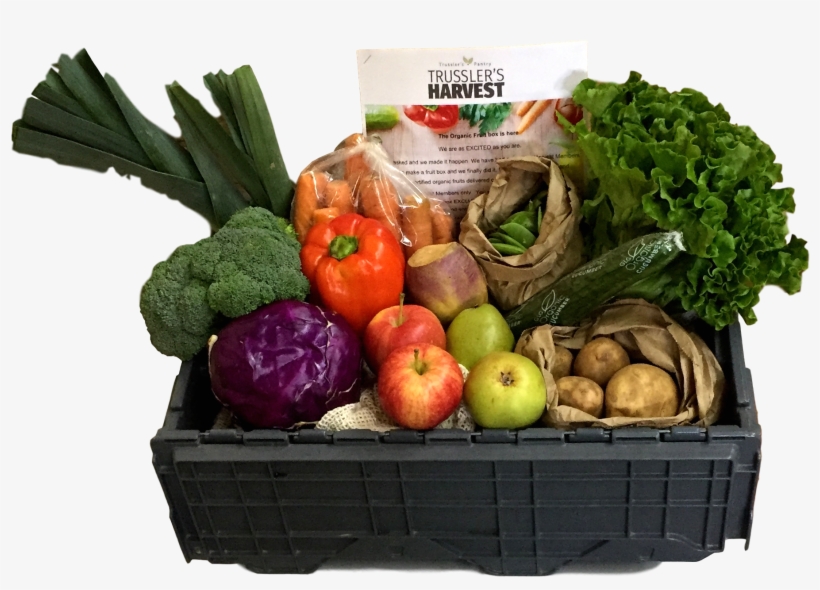 Single Person - Chard, transparent png download