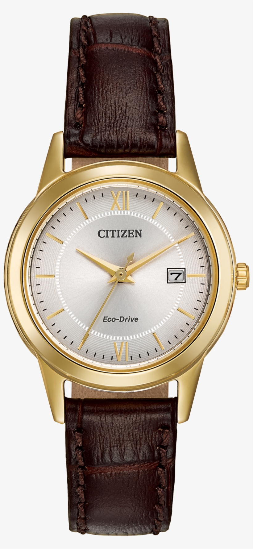 Citizen Ladies Eco Drive Watch, transparent png download