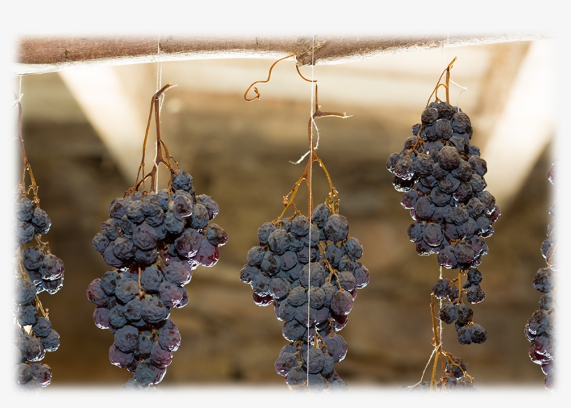 Raisins, transparent png download