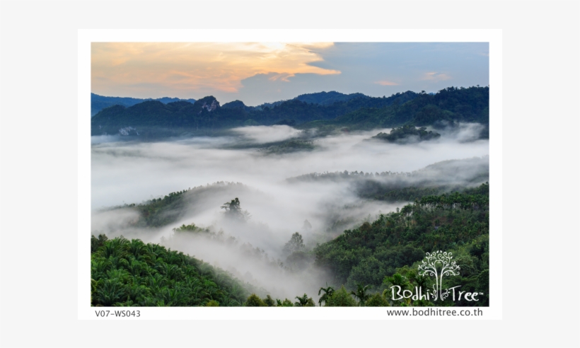 วอลเปเปอร์ ติด ผนัง ธรรมชาติ หมอก, transparent png download