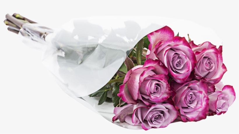 Assorted Half Dozen Roses - Garden Roses, transparent png download