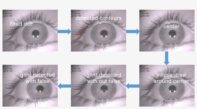 Eye Pupil Process, transparent png download