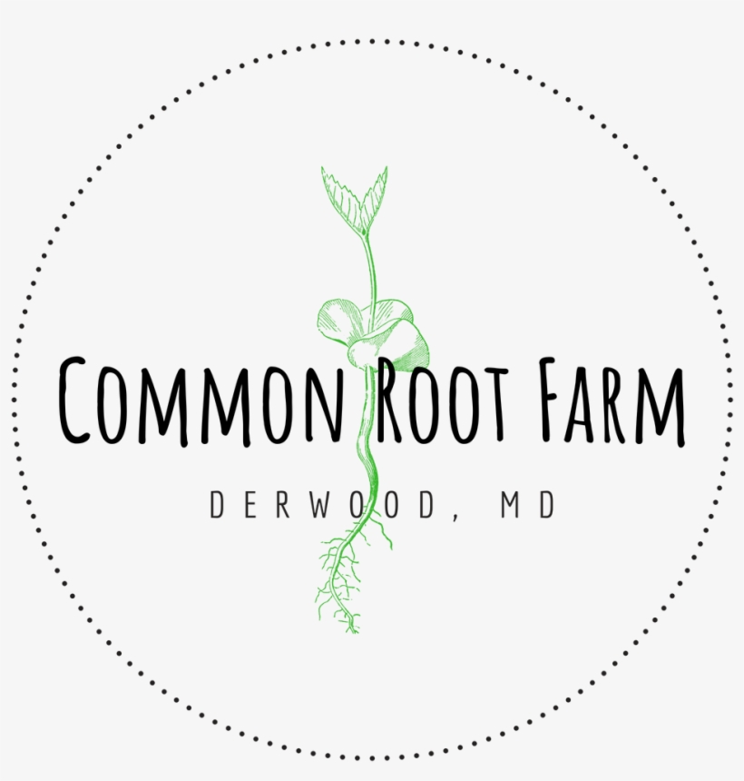 Logo Small Print Format=1500w, transparent png download